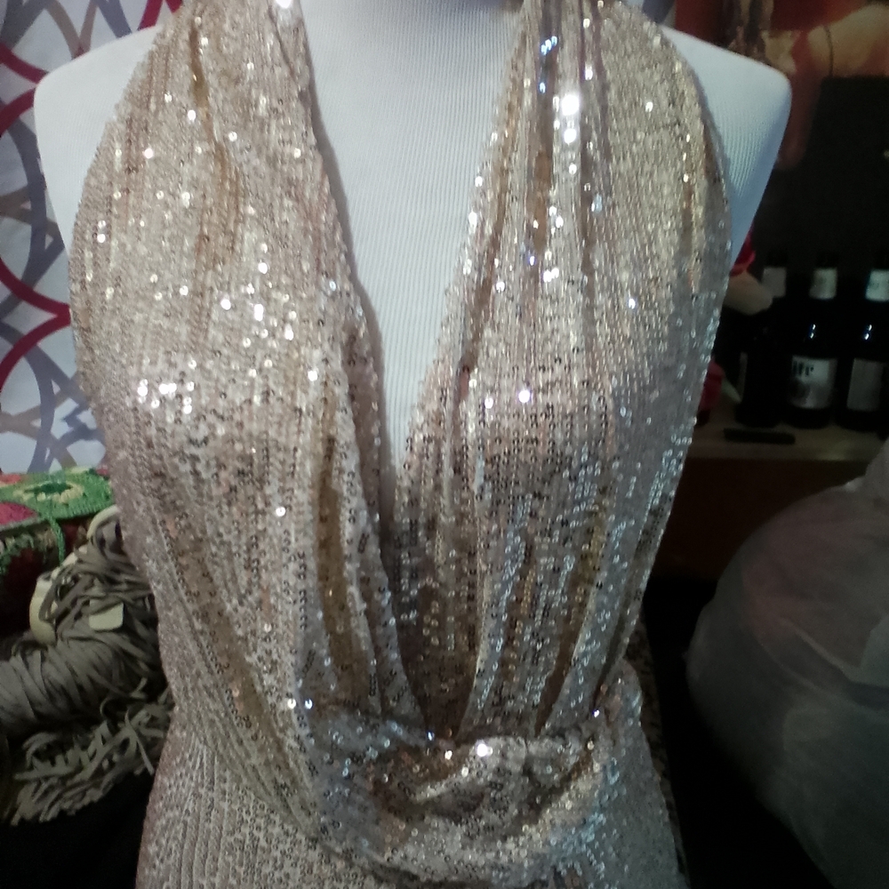 Prom/Wedding Dress